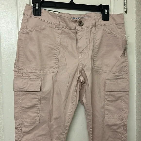Gap NWT Pink Skinny Boyfriend Pants Cargo Pastel Size 6 Ankle Length khakis - Picture 3 of 10